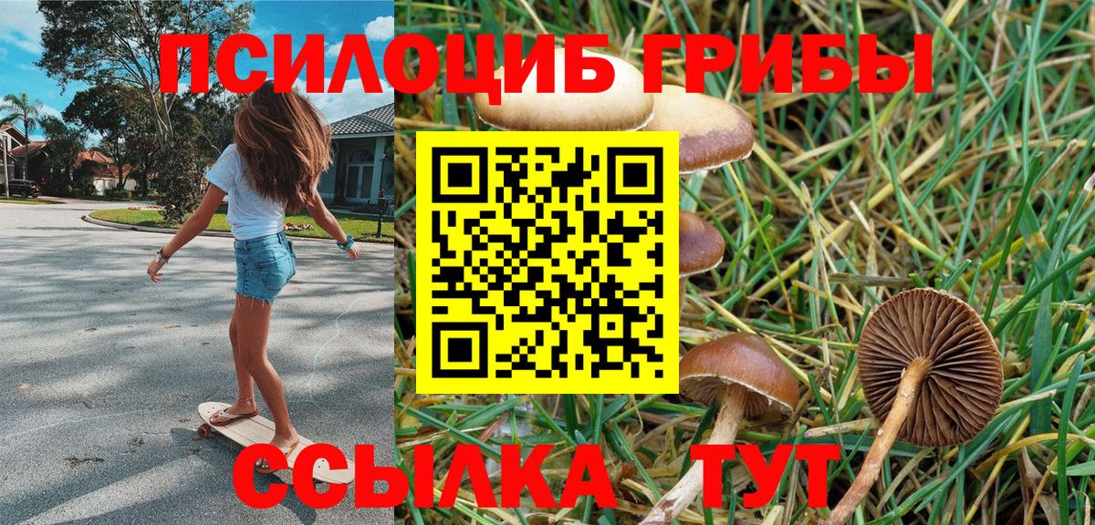 Псилоцибиновые грибы Cubensis  Галлюциногенные грибы GOLDEN TEACHER  Вход с VPN  Воронеж 